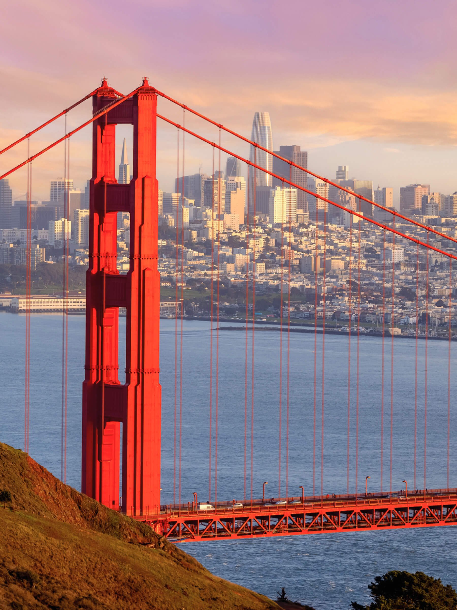 San Francisco Cityscape