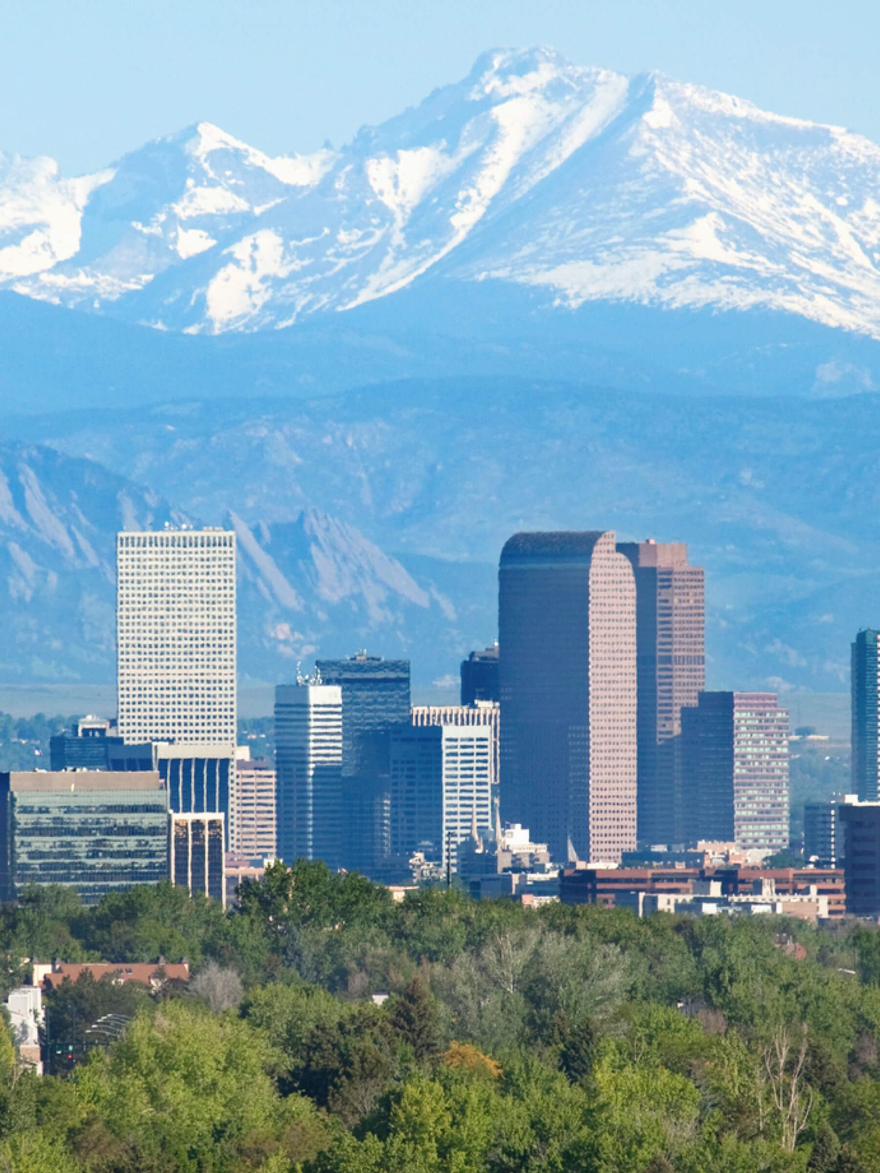 City skyline with tall office buildings and greenery in the foreground, snow-capped mountain in the background.